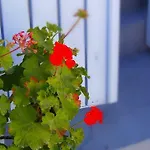 Elkaza ヴィラ *